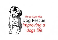 Three Counties Dog Rescue